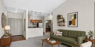 The Vintage Gallery 12