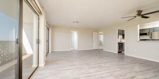 The Landmark Gallery 19