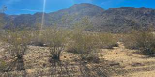 3 Bedroom 2 bath Home in 29 Palms Gallery 3