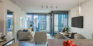 Env Chicago Gallery 34