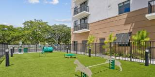 Westgate on University Gallery 52