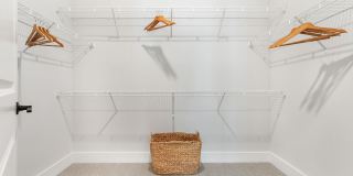 Ellison at the Preserve Gallery 10