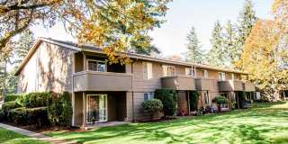 Bellamy Park Gallery 30