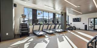 The Quill by Alta Gallery 19