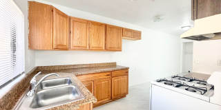 PS T 66369 Gallery 4