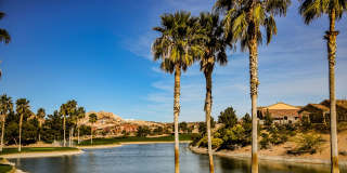 Guard Gated, Community Pool, Club House and Golf , Come and See Text or Call 201-645-5143 for showings Gallery 46