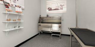 TGM University Park Gallery 29