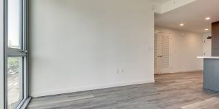 The Merian Gallery 40