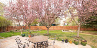 796 Melissa Lane Gallery 20