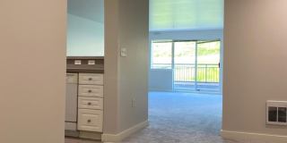 Spacious Seattle Condo - $2,200 Gallery 25