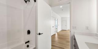 Copper Gallery 50