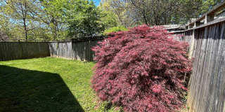East Asheville - Contemporary Bungalow Gallery 37