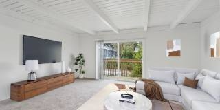 Heather Ridge Gallery 43
