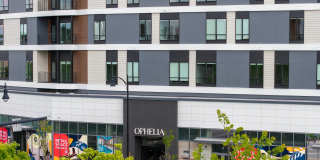 Ophelia Gallery 8