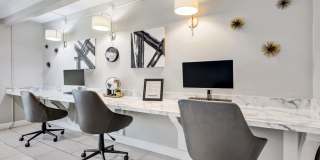 Cinnamon Run at Peppertree Farm Gallery 23