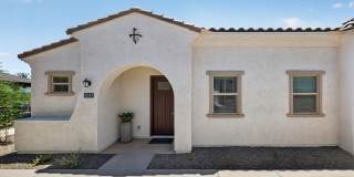 Yardly Laveen Spectrum Gallery 20