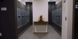 Solo on Chestnut Gallery 15