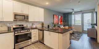 Buffalo at Desert Shores Gallery 1