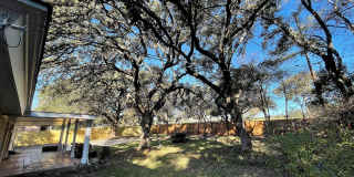 3723 Twisted Oaks Dr Gallery 14