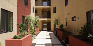 Welcome to Huston Court – Modern Living in the Heart of North Hollywood Gallery 9