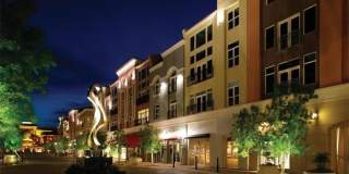 271 Spectacular Street Gallery 40
