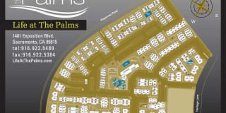 The Palms The Palms Gallery 17