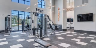 Nexus Brandon Gallery 52