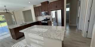 15013 SHADY PALMS LANE Gallery 4