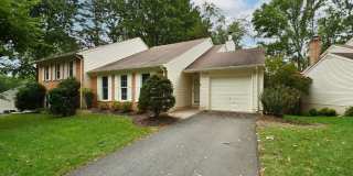 10048 WOOD SORRELS Lane Gallery 1
