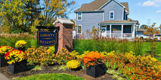 Liberty Reserve Gallery 35