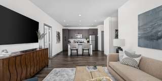 Standard441 Gallery 2