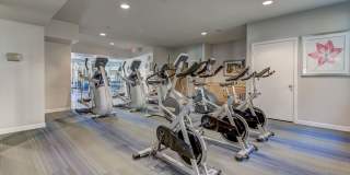 The Saulet Gallery 25