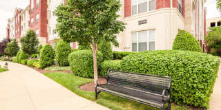 Emerson at Cherry Lane Gallery 13