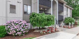 Honeywood Apartment Homes Gallery 18