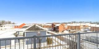 1637 McCleary Lane Gallery 16