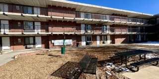 Studio Apartment in Denver - Ground Level - Move-In Special Gallery 10