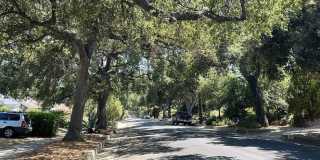 1270 Mar Vista Avenue Gallery 6