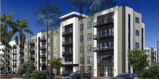 Cypress Sol Gallery 8