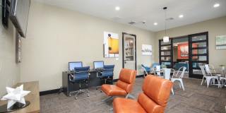 Hollow Tree Park Gallery 28