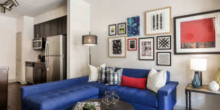Avalon Cherry Hills Gallery 10