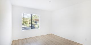 The Landing Gallery 12