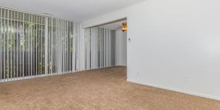 Blue Ridge Place Gallery 7