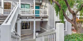 5302 Cribari HTS Gallery 1