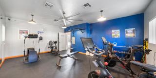 Bristle Pointe Gallery 11