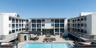 Dolphin Marina Gallery 5