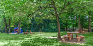 Sagamore Hills Gallery 3