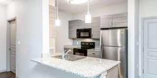 RIZE at Winter Springs Gallery 62