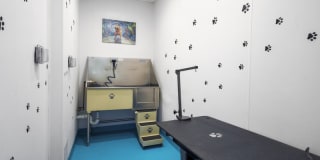 James and Harrison Court Gallery 19