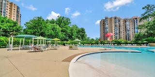 5904 MOUNT EAGLE DR #1609 Gallery 21