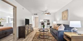 The Place at Desert Springs Gallery 20